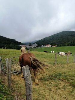 PAISAJE Y PATRIMONIO