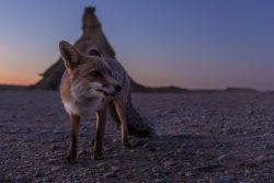 PAISAJES HABITADOS 2