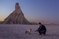 PAISAJES HABITADOS 3