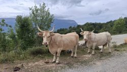 PASTANDO EL LIBERTAD Y CON VISTAS PRIVILEGIADAS