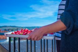 PIQUILLOS DE MENDAVIA