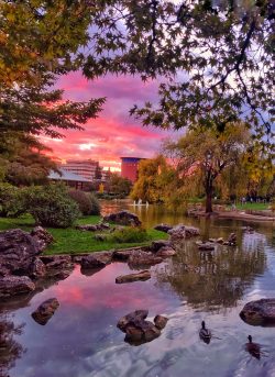 POESíA PINTADA EN EL ATARDECER