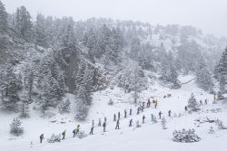 SEMANA BLANCA EN LARRA