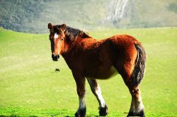 Y Tú, ¿QUé MIRAS?