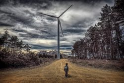 GIGANTES EN EL BOSQUE