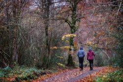 NATURALEZA EN RONCESVALLES
