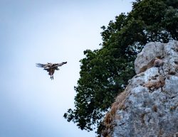 ATERRIZA COMO PUEDAS, PERO NO ME EMPUJES