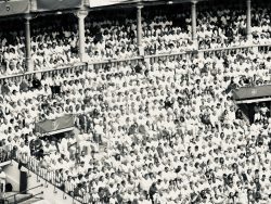 BLANCO Y ROJO, BLANCO Y NEGRO.