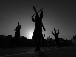 CAMINO A ORREAGA / ORREAGARAKO BIDEAN