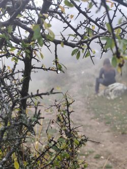 ENTRE HILOS Y NIEBLA