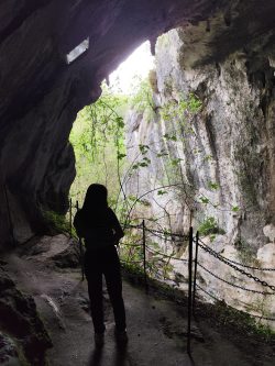 ENTRE SOMBRAS Y MISTERIO