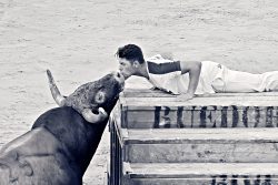 EXHIBICIóN DE TERNURA