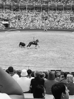 FUERZA Y RESPETO EN LA ARENA