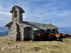 GUARDIANES DE SAN DONATO