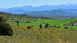 JUBILACIóN ACTIVA ENTRE SEMANA