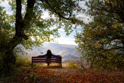 LO QUE EL BOSQUE ME CONTó