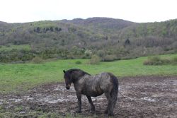 MIRADA DE TIERRA Y MONTAñA