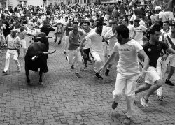 MIRANDO DE CERCA AL TORO