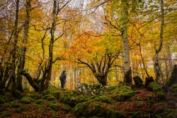 OTOñO EN LA SIERRA DE URBASA
