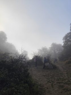 SUSURROS DE LA MAñANA