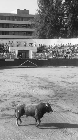 TAN PEQUEñITOS A SU LADO