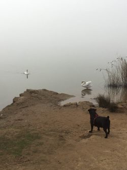 TODOS JUNTOS EN ARMONíA