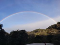 TRAS LA TORMENTA, NAVARRA RESPLANDECE